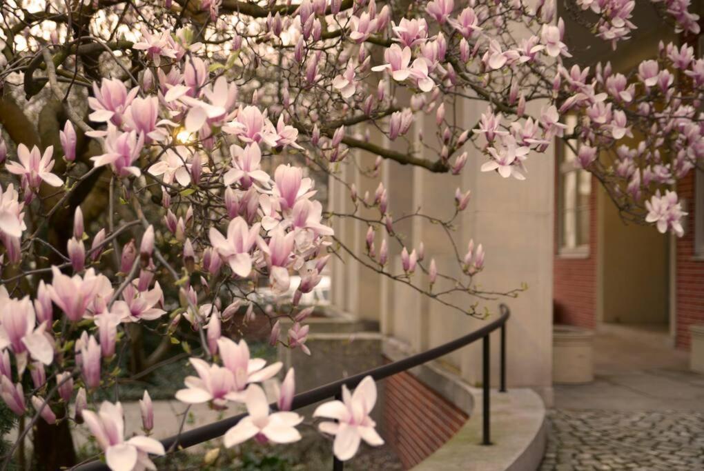 Elegant Apartment In The City Center Вроцлав Екстериор снимка